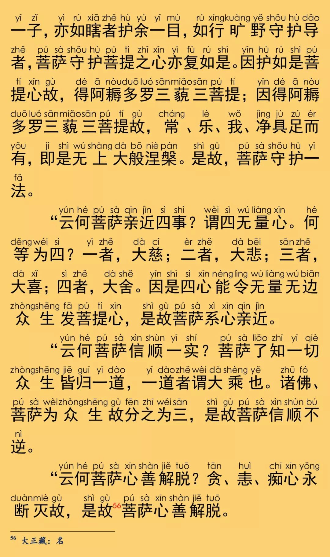 大般涅槃经卷第二十三30