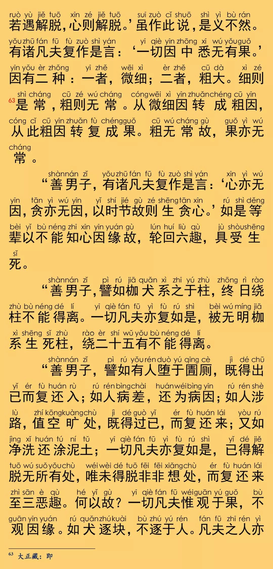 大般涅槃经卷第二十三35