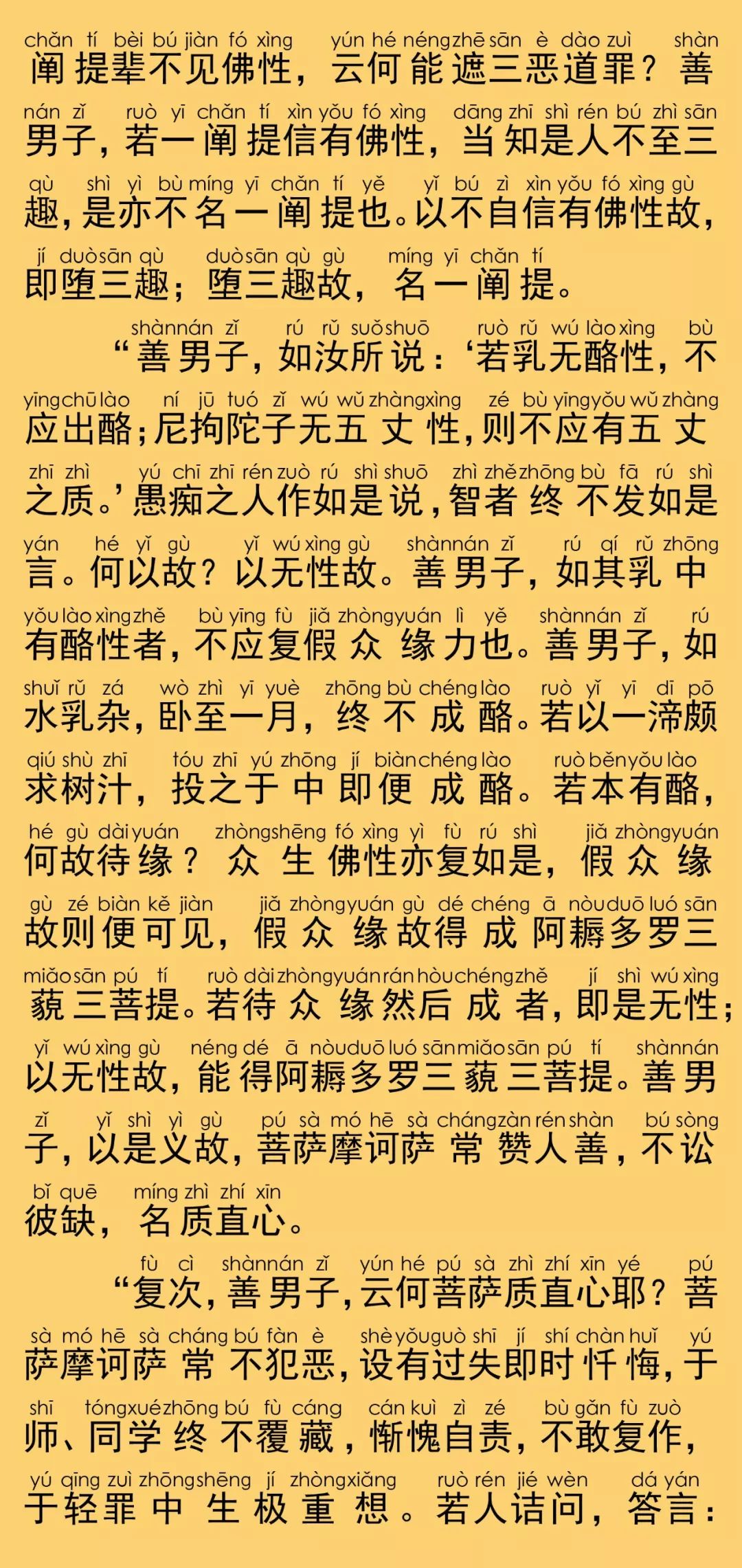 大般涅槃经卷第二十四14