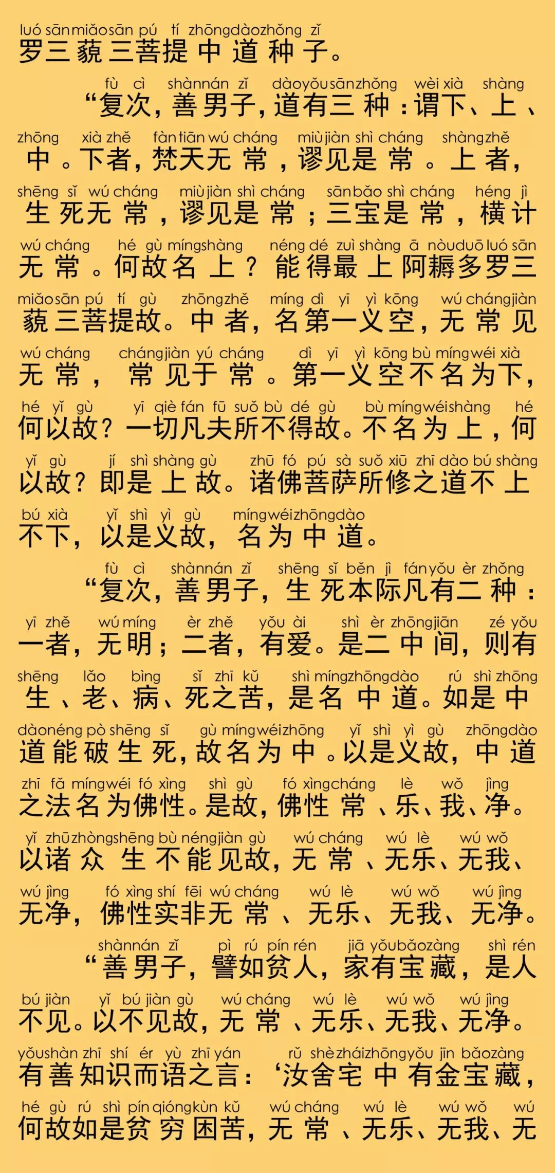 大般涅槃经卷第二十五12