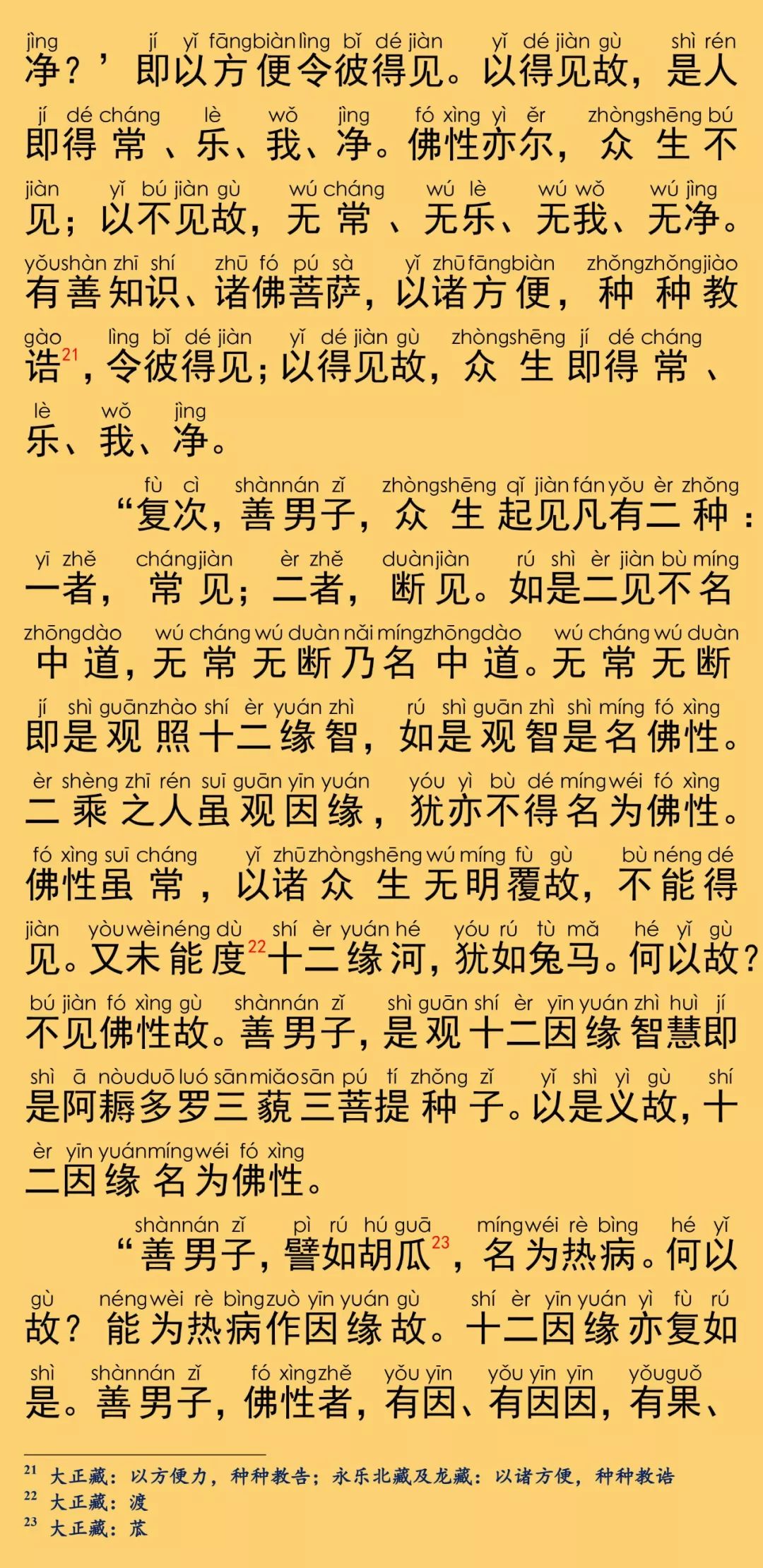 大般涅槃经卷第二十五13