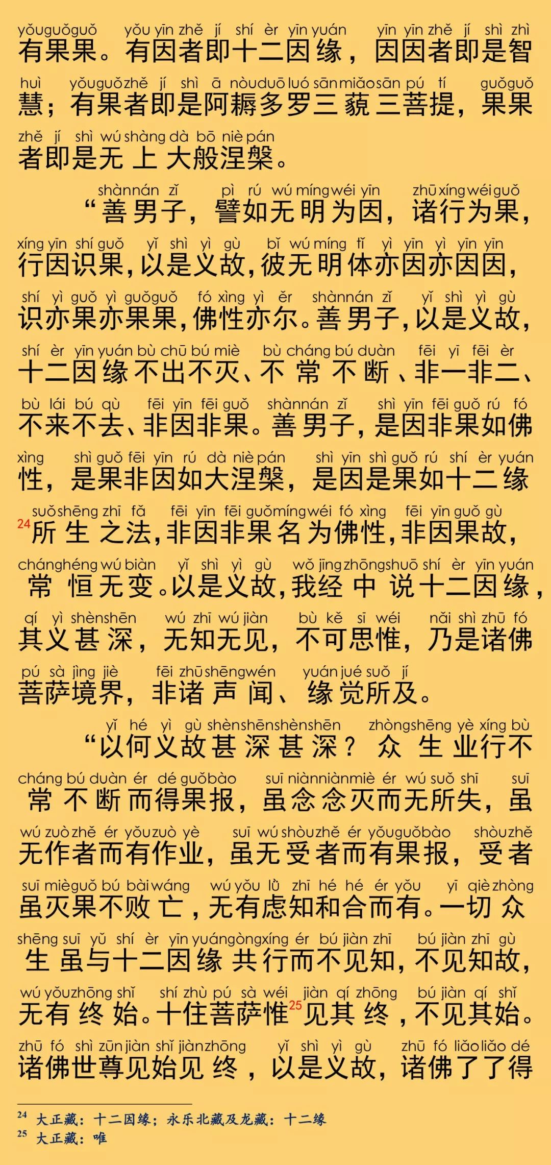 大般涅槃经卷第二十五14