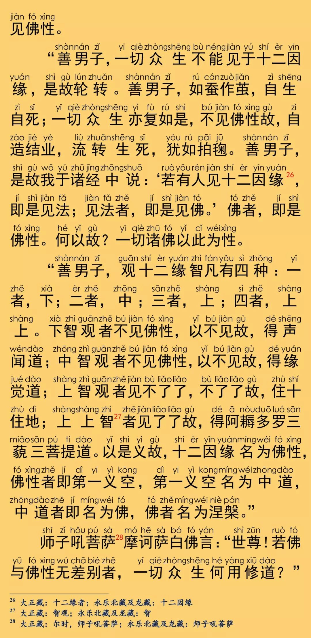 大般涅槃经卷第二十五15