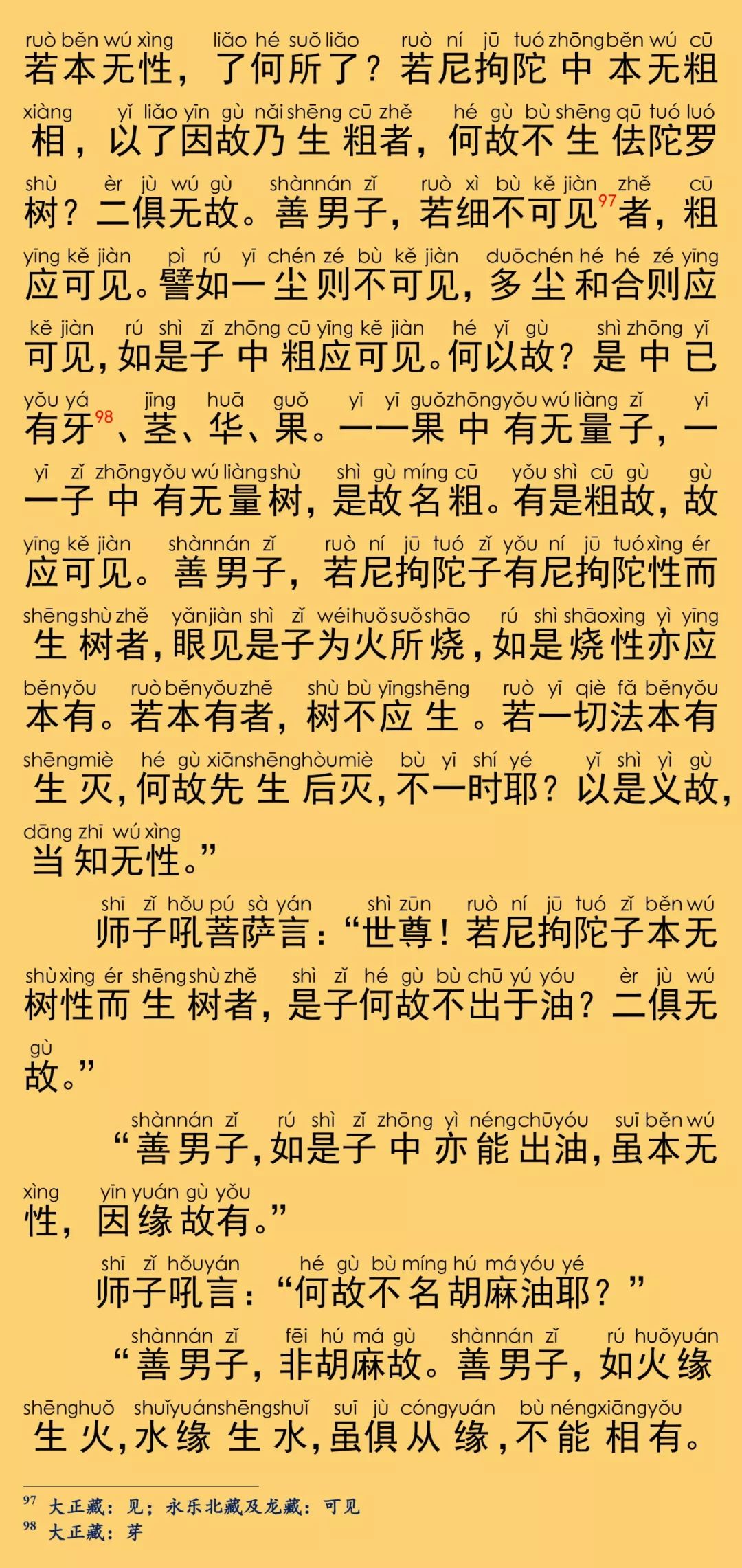 大般涅槃经卷第二十六29