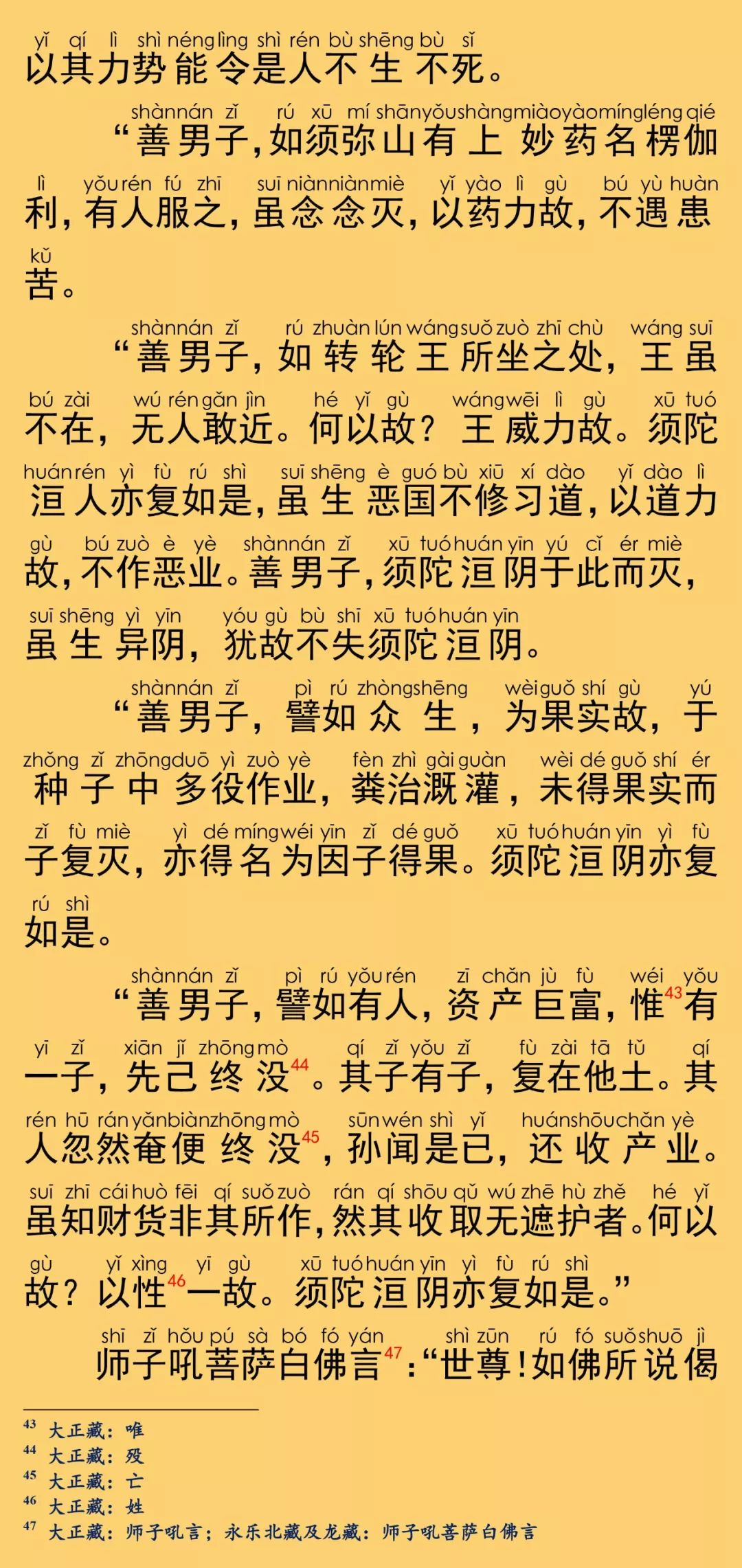 大般涅槃经卷第二十七17