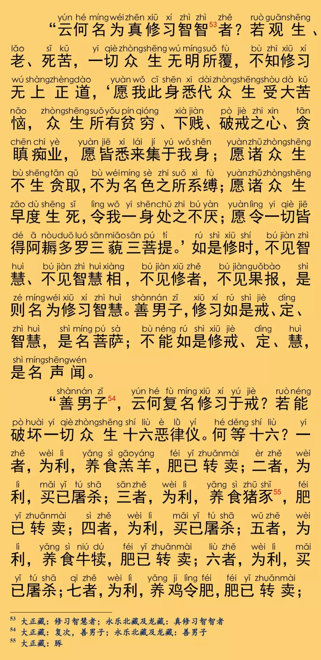 大般涅槃经卷第二十七20