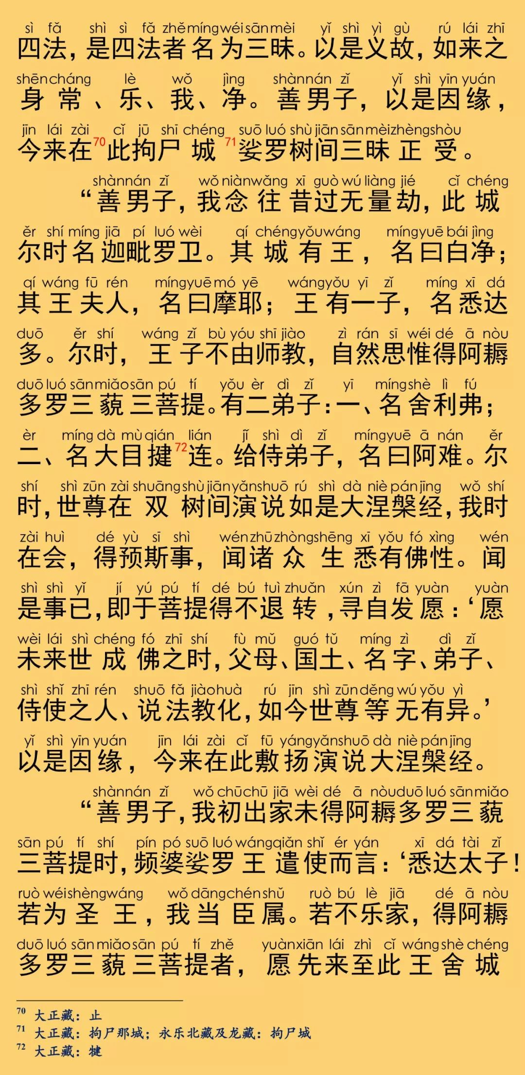 大般涅槃经卷第二十七29