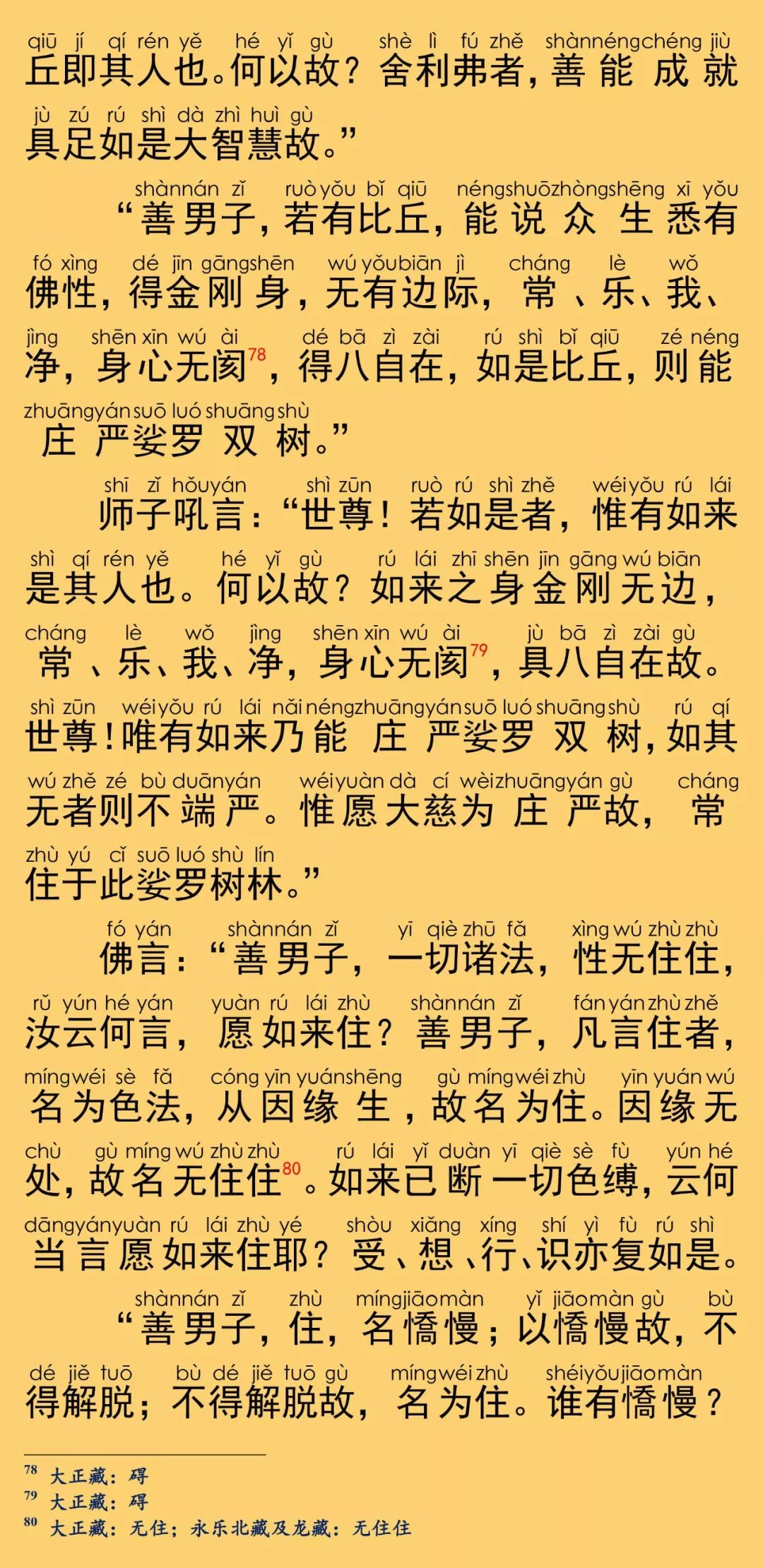 大般涅槃经卷第二十八28