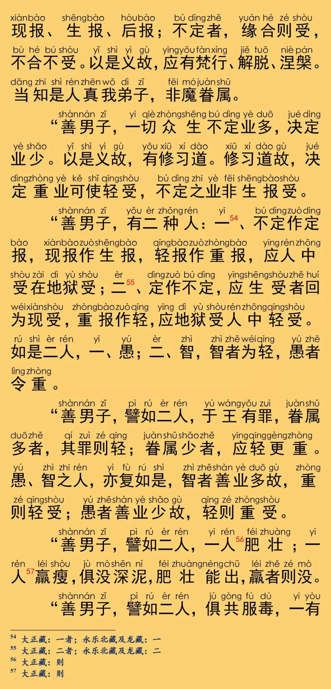 大般涅槃经卷第二十九26