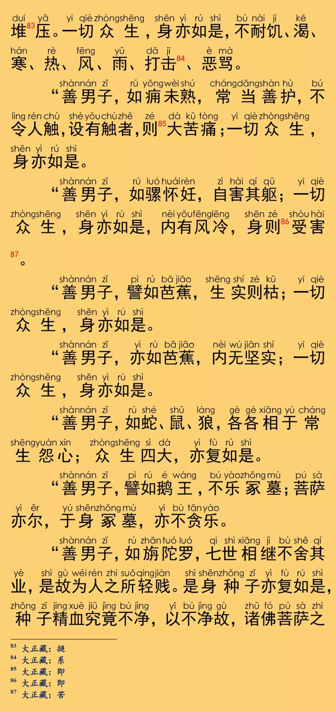 大般涅槃经卷第二十九32