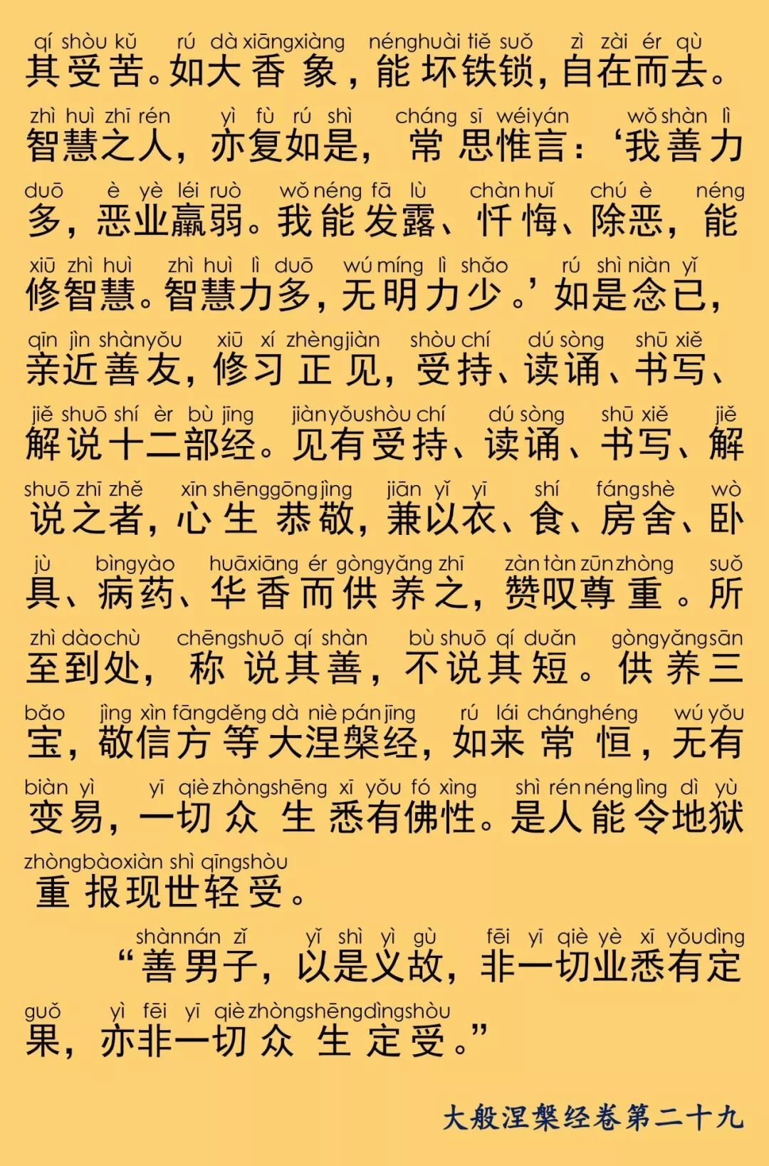 大般涅槃经卷第二十九38