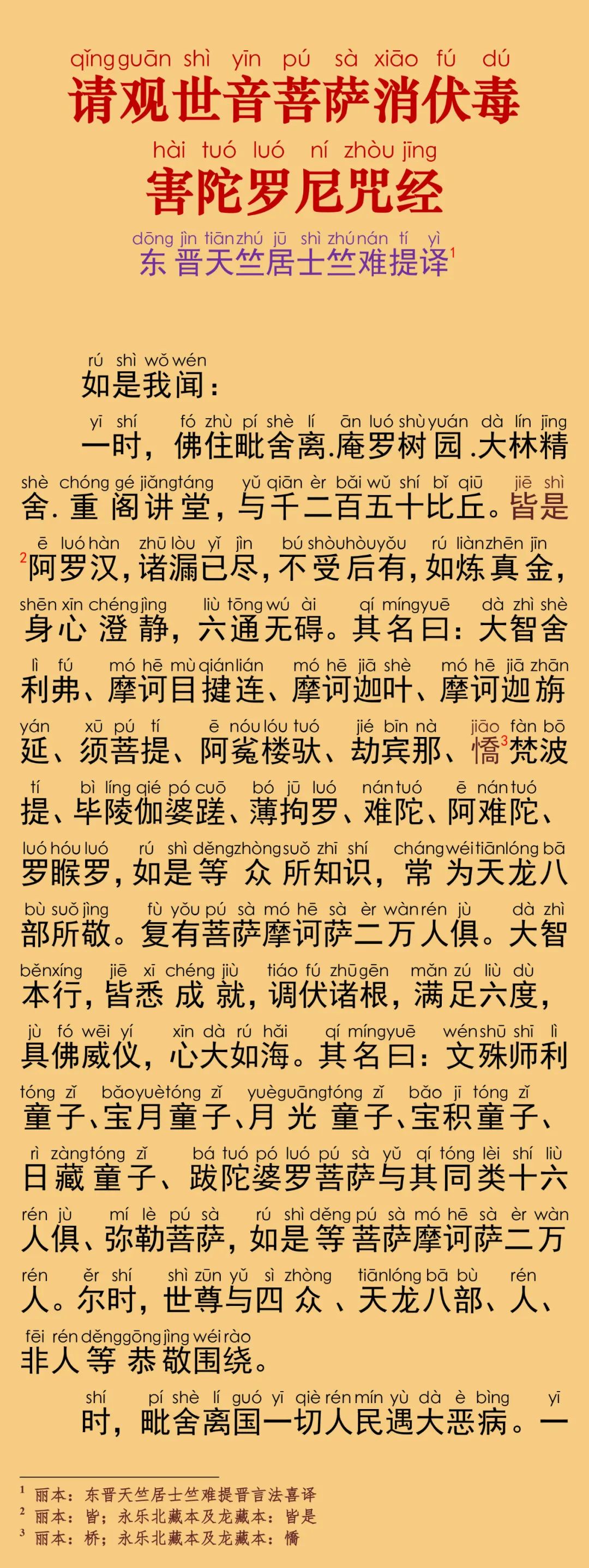 请观世音菩萨消伏毒害陀罗尼咒经6